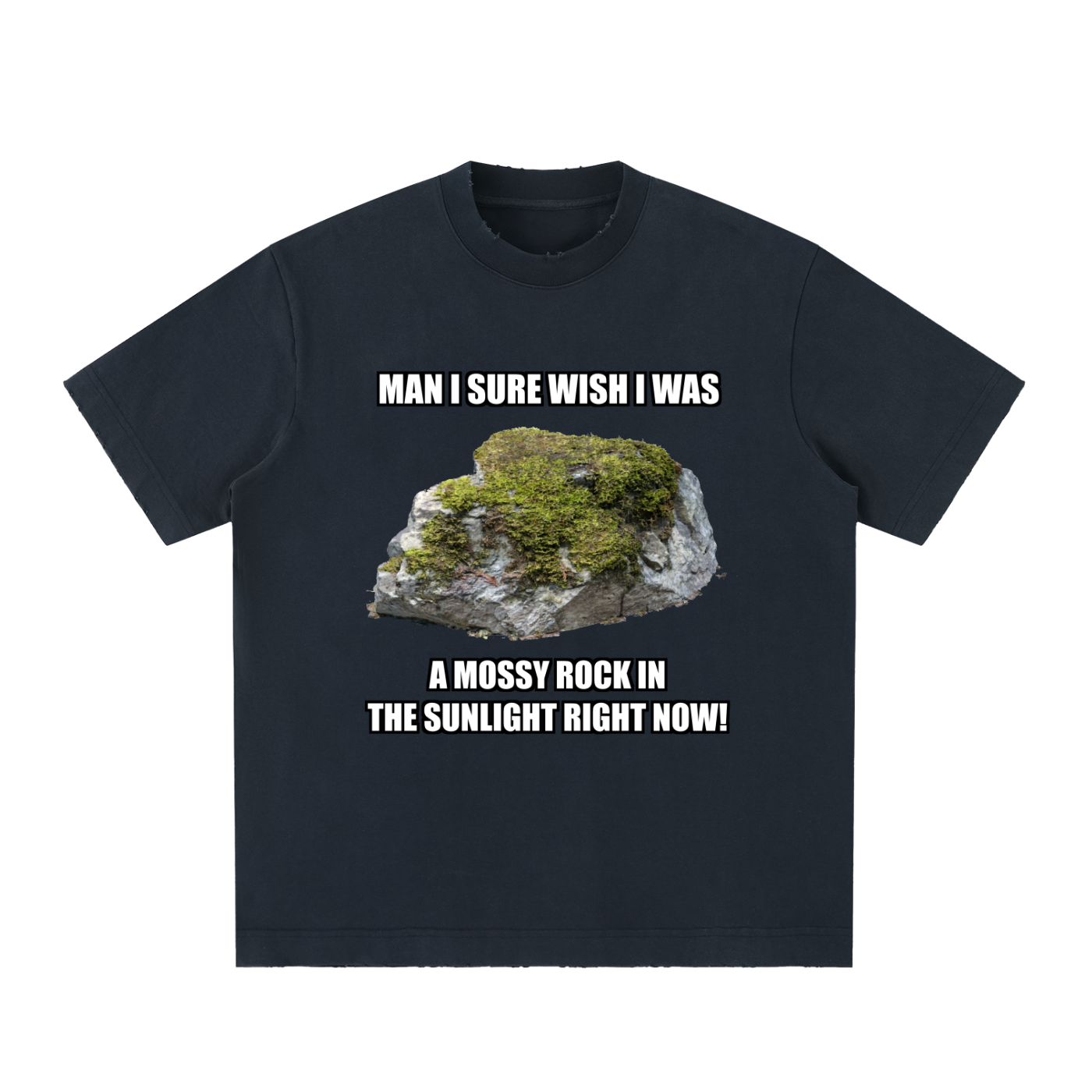 MAN I SURE WISH I WAS A MOSSY ROCK IN THE SUNLIGHT RIGHT NOW!