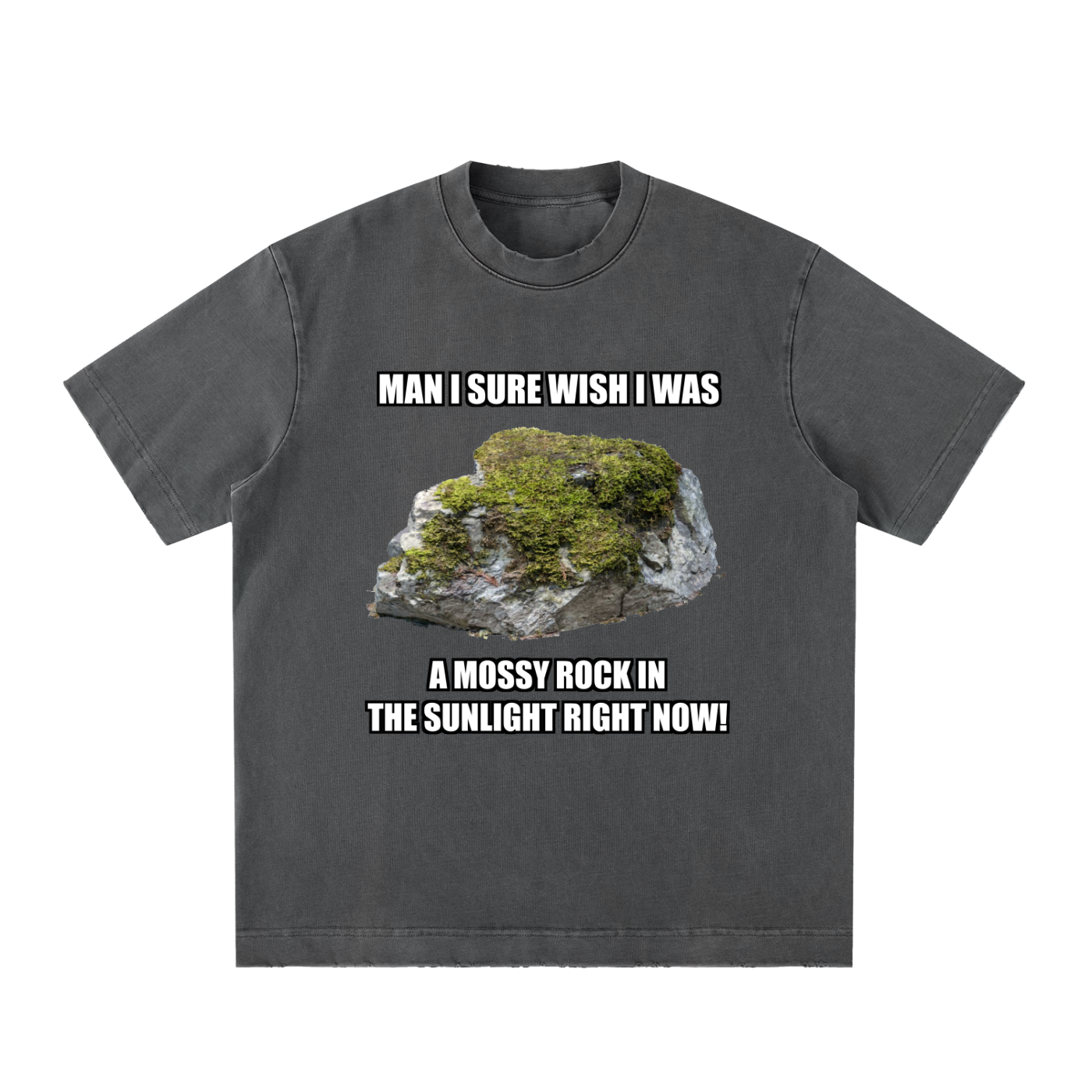 MAN I SURE WISH I WAS A MOSSY ROCK IN THE SUNLIGHT RIGHT NOW!