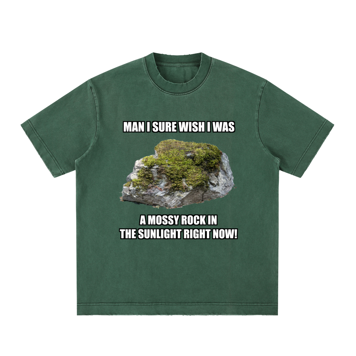 MAN I SURE WISH I WAS A MOSSY ROCK IN THE SUNLIGHT RIGHT NOW!